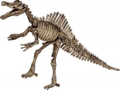 Spiegelburg Ausgrabungsset Spinosaurus T-Rex World (ca.19x12x4 cm)