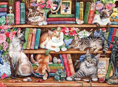 Kätzchen im Bücherregal