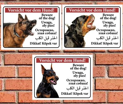 Vorsicht vor dem Hund Schilder Warnschild Warnung in der 6 verschiedene Sprachen