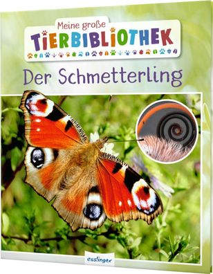 Meine grosse Tierbibliothek: Der Schmetterling Sachbuch fuer Vorsch