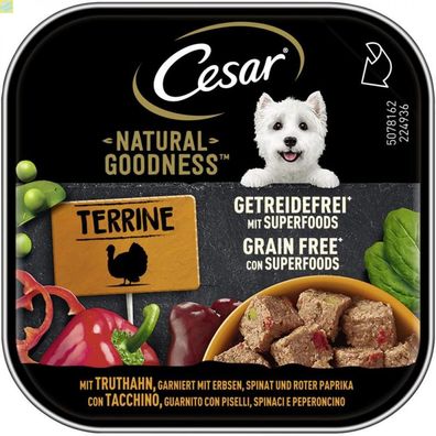 16 x Cesar Schale Natural Goodness Terrine Getreidefrei Superfoods Truthahn 100g