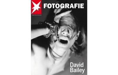 David Bailey (STERN Spezial Portfolio Fotografie Nr. 50 DAVID BAILEY OVP