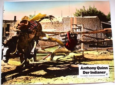 Der Indianer Anthony Quinn Shelley Winters Kinoaushangfoto 30x24cm 1