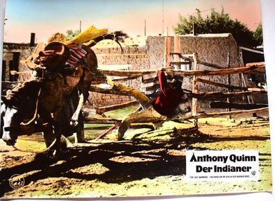 Der Indianer Anthony Quinn Shelley Winters Kinoaushangfoto 30x24cm 7