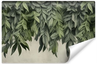 Muralo Vlies Selbstklebende Fototapete grüne Blätter Pflanzen Beton Wandtapete