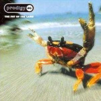 The Prodigy: The Fat Of The Land - XL/ Beggars 857292 - (CD / Titel: Q-Z)
