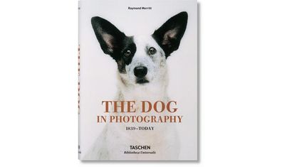 The Dog in Photography 1839-Today | Raymond Merritt | Buch | NEU | Deutsch