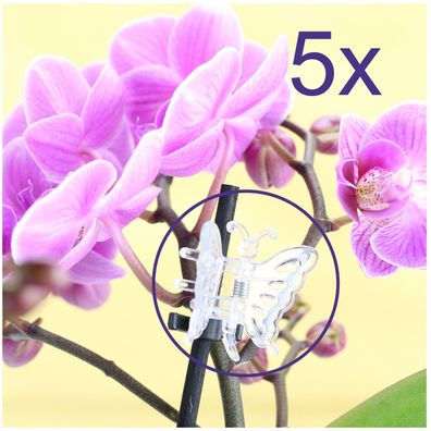 5er Set Orchideen Clip Schmetterling Klammern Orchidee Pflanzenclips transparent
