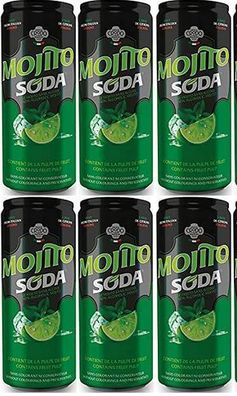 Mojito Soda Erfrischende Limonade mit Minze, Limetten und Fruchtfleisch a 33ml