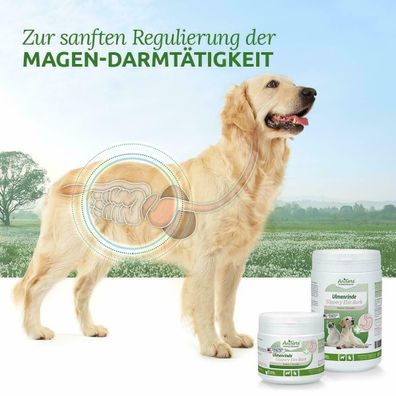 AniForte® Ulmenrinde Pulver 250g Slippery Elm Bark - Verdauung, Reizmagen Hunde
