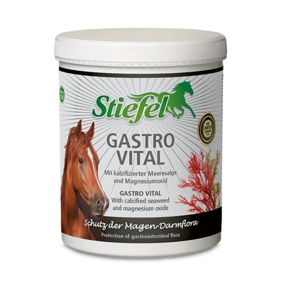 Stiefel Gastro Vital 1 kg Ergänzungsfutter Pferd Magengesundheit Mineralien