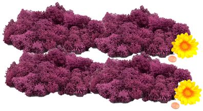 Muwse Islandmoos Veilchen Pink 100 g händisch gerupft Osternest Weihnachtskrippe