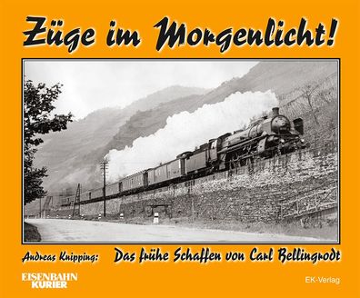 Z?ge im Morgenlicht, Andreas Knipping