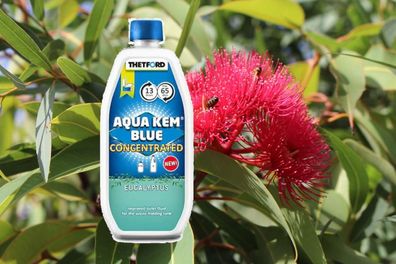 Aqua Kem Blue Concentrated Eucalyptus