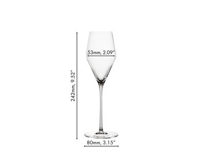 Spiegelau Champagnerglas Definition 250ml 2er Set 1 Stck. 801376 (EKB)