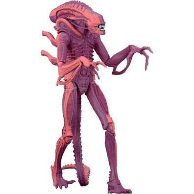 Red Alien Figur mit Chestburster & Facehugger Figuren - Neca Alien Xenomorph Figuren