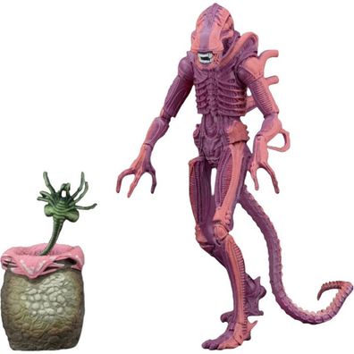 Neca Red Alien Figur mit Chestburster & Facehugger Figuren - Alien Xenomorph Figuren