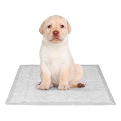 Einweg-Hygieneunterlagen für Haustiere Super - Gentlepets® 200 Stk 60 x 40 cm