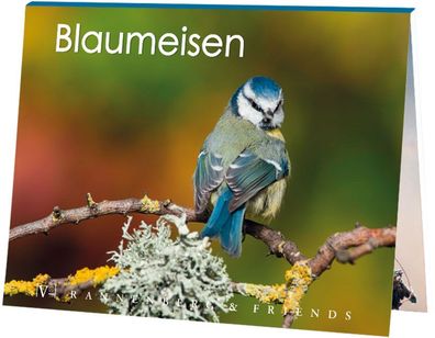 Postkartenbuch Blaumeisen, Postkartenbücher Ansichtskarte Postkarte Tier Vogel Vögel