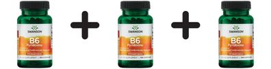 3 x Vitamin B-6 (Pyridoxine), 100mg - 100 caps