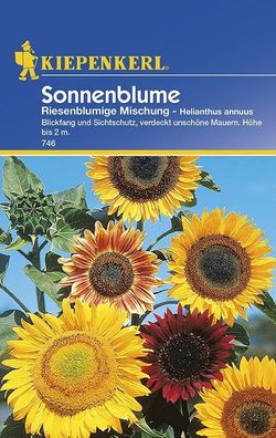 Sonnenblume Riesenblumige Mischung | stark- und schnellwachsende Gartenblume...