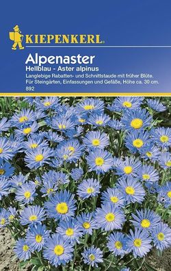 Alpenaster hellblau, langlebige Rabatten- und Schnittstauden mit früher Blüte