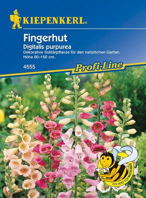 Fingerhut, dekorative Solitärpflanze für den naturnahen Garten, Nektarspender