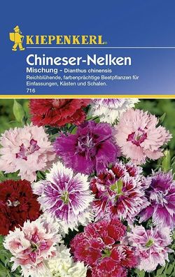 Dianthus Chineser-Nelken Mischung