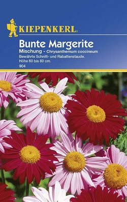 Margerite Mischung (Chrysanthemum coccineum)