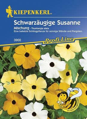 Schwarzäugige Susanne, beliebte Schlingpflanze für sonnige Wände und Pergolen