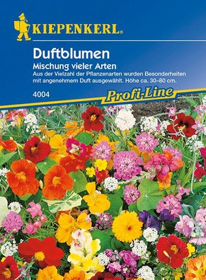 Blumenmischung Duftblumen | angenehm duftende Blumen | Höhe 30 bis 80 cm
