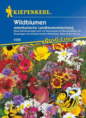 Blumenmischung Wildblumen Amerikanische Landblumen | für 3 - 5 m² | zur...