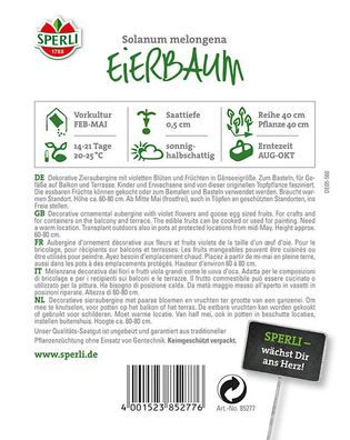 Eierbaum (Solanum melongena), essbare Zieraubergine, blüht violett, tolle...