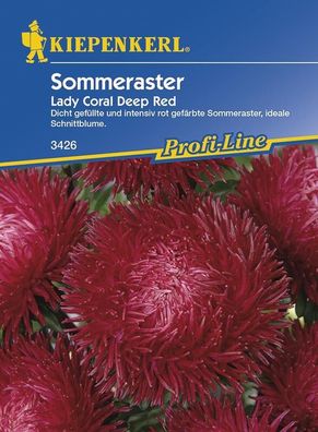 Astern Lady Coral Deep Red, tiefrote Blüten mit Durchmesser von 8 bis 12 cm, ...