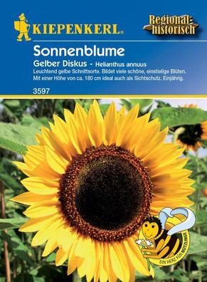 Sonnenblume Gelber Diskus, beliebte Schnittblume und Hintergrundpflanze als...