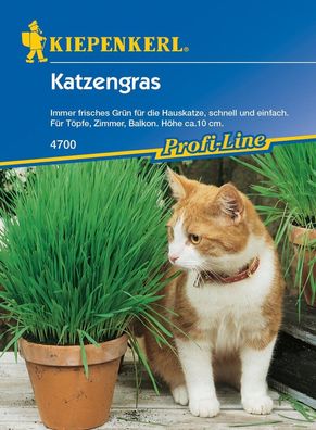 Katzengras (Inhalt: 30 gr), diese Mischung findet bei Katzen eine besonders...