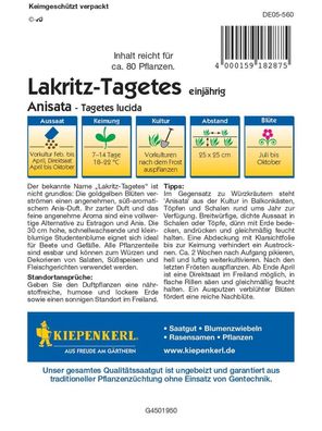 Lakritz-Tagetes Anisata, schnellwachsende Studentenblume mit süß-aromatischem...