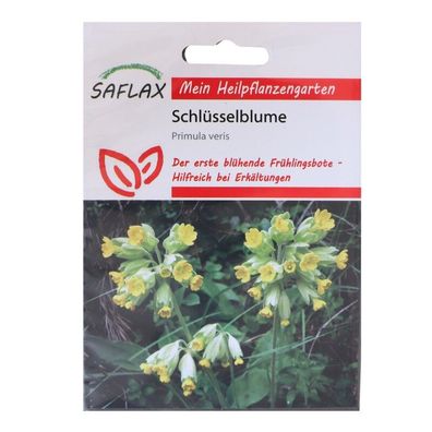 Schlüsselblume Heilpflanzen Saatgut - 100 Samen - Primula veris