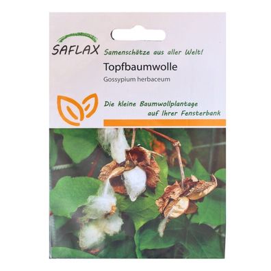 Topfbaumwolle - 12 Samen - Gossypium herbaceum