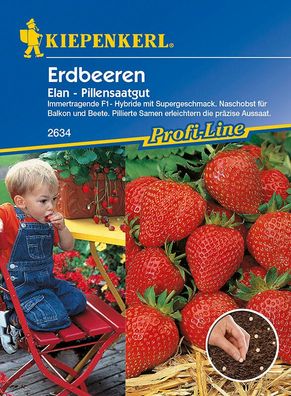 Erdbeeren Elan F1 Pillensaat, Naschobst für die Ernte bis zum Frost, ...