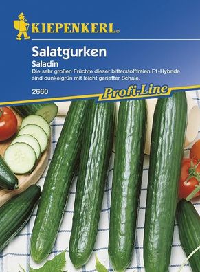 Salatgurken Saladin F1, Fruchtgröße bis 40 cm, rein weiblich, ausschließlich...