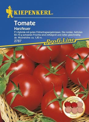 Tomaten Harzfeuer F1-Hybride mit guten Frühertragsergebnissen
