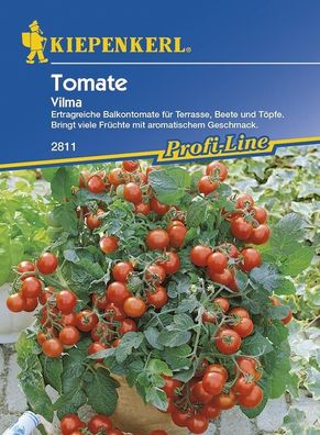 Tomaten Balkontomate Vilma, ertragreich buschig-wachsende Balkontomate für...