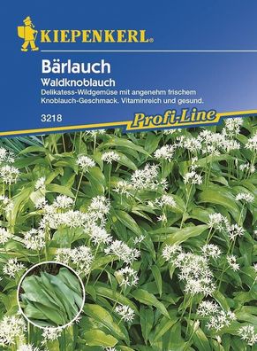 Bärlauch Waldknoblauch Allium ursinum