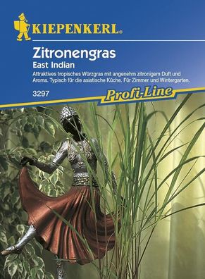Zitronengras East Indian, exotische Gewürzpflanze mit zitronenartigem Duft...