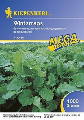 Winterraps Gründünger 1kg