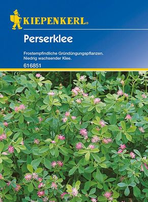 Perserklee Gründünger | Portion 60 g für 20 m² | altbewährte Gründüngungspflanze