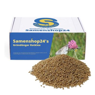 Samenshop24® Rotklee, Inhalt: 1kg für ca. 280m², Stickstoffsammler,