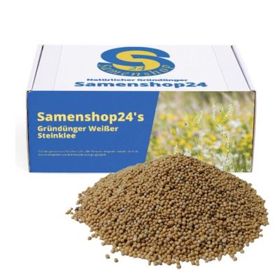 Samenshop24® Weißer Steinklee (Bokharaklee), melilotus alba, Inhalt: 1kg