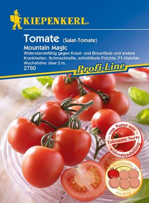 Tomate Salattomate Mountain Magic